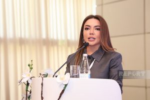 Türkmanlar öz milli kimliklərini qorumağı bacarıb - Aygün Əliyeva