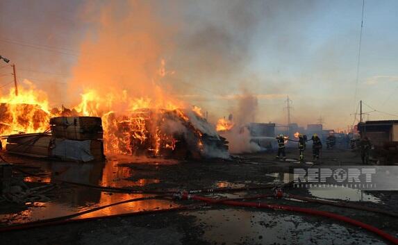 Şəmkirdə 5 ha-dan çox ərazidə yanğın başladı, işıqlar söndürüldü