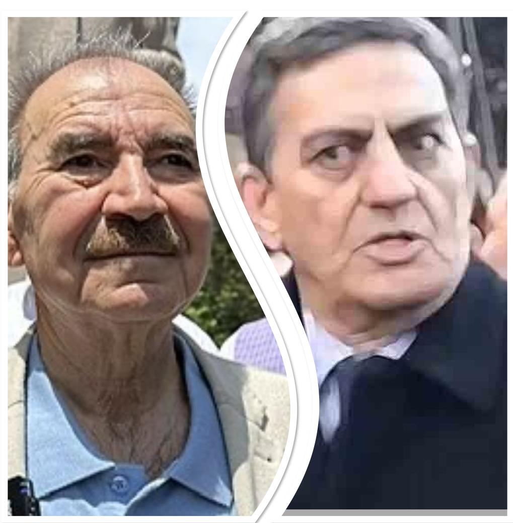 Qoşa sağsağanlar - deputatın məqaləsi