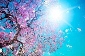 Sabah 38 dərəcə isti olacaq