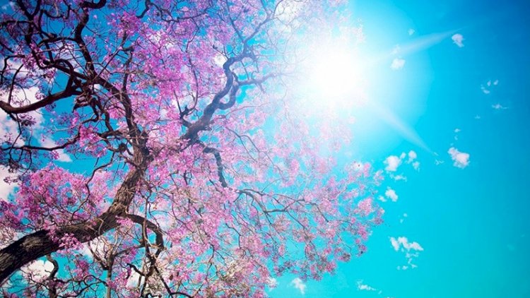 Sabah 38 dərəcə isti olacaq