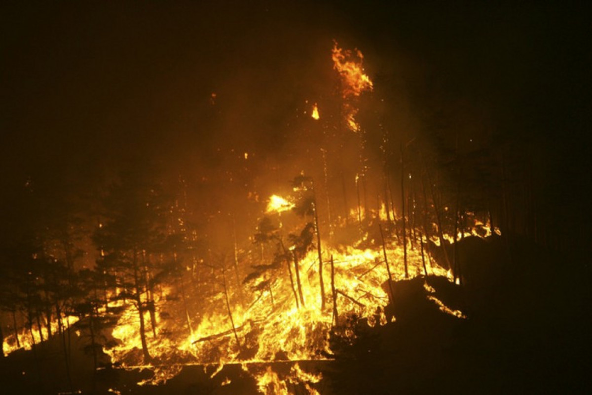 Cənubi Koreyada meşə yanğınları: ölənlər var