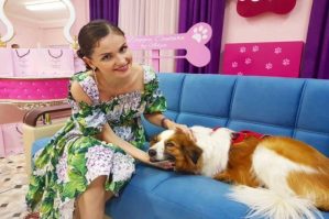 Blogerin iti evdən qaçdı: axtarış qrupu yaradıldı - FOTOLAR