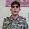 rustem hemidov