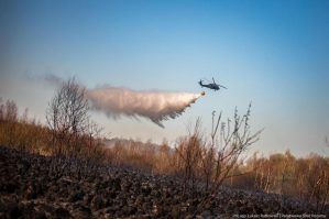 Polşada milli park yanır