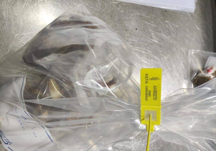 “Venesiya”da kütləvi zəhərlənmənin səbəbi: Bu da məşhur restoranın mətbəxi... - FOTOLAR