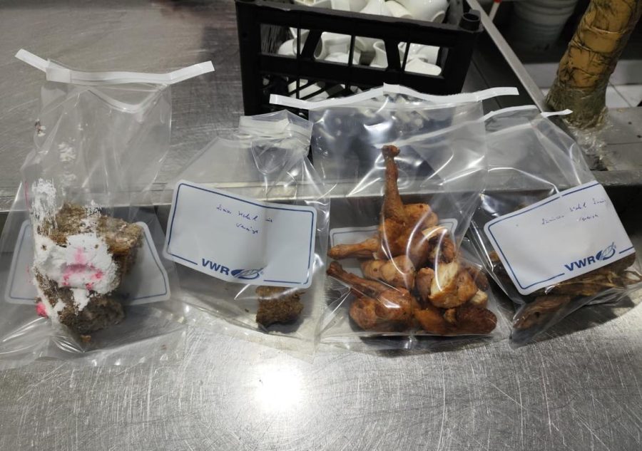 “Venesiya”da kütləvi zəhərlənmənin səbəbi: Bu da məşhur restoranın mətbəxi... - FOTOLAR