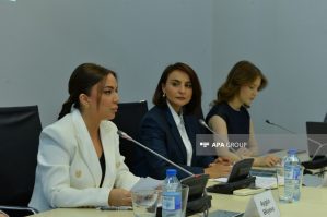 Bu toplantıya 100-ə yaxın ölkədən nümayəndə qatılacaq - Aygün Əliyeva