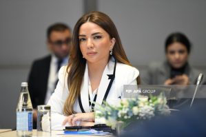 Dövlət Agentliyi Qlobal Cənub QHT-lərinə dəstəyi davam etdirəcək - FOTOLAR