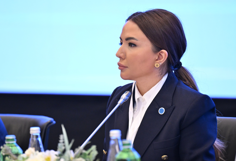 Yerli QHT-lərin beynəlxalq layihələrdə fəal iştirakını dəstəkləyirik - Aygün Əliyeva 1 aygun eliyeva