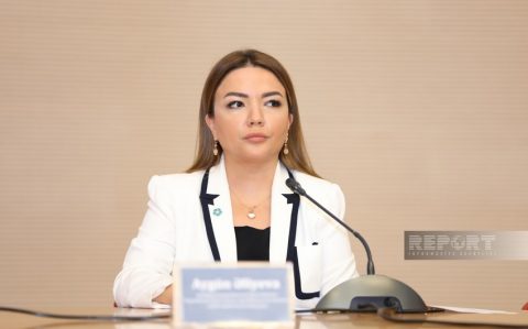 aygun report 1