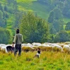 coban esas