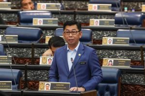 Malayziya rəsmisi Bakıya gəlir