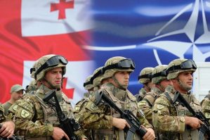 gurcu nato
