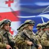 gurcu nato