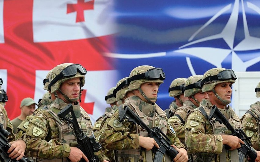 Gürcüstanda NATO təlimi: Azərbaycan da iştirak edir 1 gurcu nato