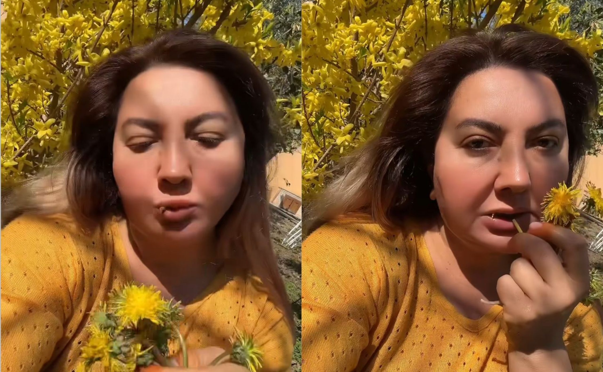 Nazilə Səfərlinin paylaşımı mübahisə yaratdı: Şairə məsuliyyətə cəlb olunacaq? – VİDEO