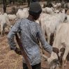 nigeriya coban