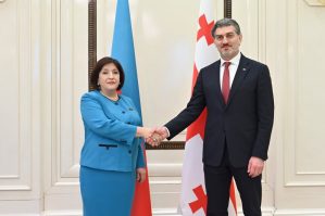 Kavelaşvili Sahibə Qafarova ilə müzakirə apardı - FOTO