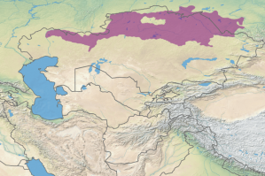 Türkiyədən üç ölkəyə etiraz: Qardaşlarımızdan bunu gözləməzdik