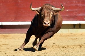 İspaniyada festival kabusa çevrildi – VİDEO