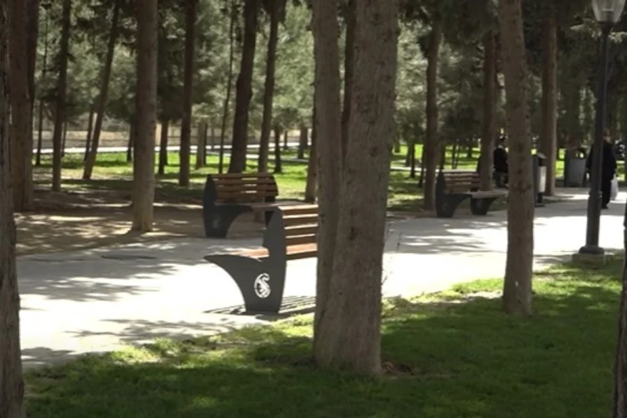 Bakıda DƏHŞƏT: 39 yaşlı qadın parkda qətlə yetirildi - VİDEO