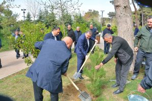 Xətaidə ümumrayon iməciliyi və ağacəkmə aksiyası təşkil olundu - FOTOLAR