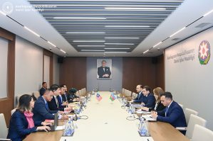 Azərbaycanla Malayziya arasında siyasi məsləhətləşmələr... - FOTOLAR