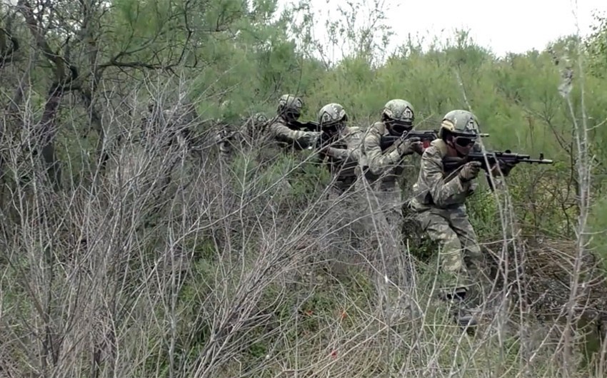 Müdafiə Nazirliyi icmal yaydı – VİDEO