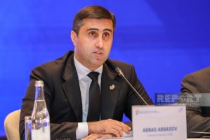 BMT-nin Afrika əsilli Şəxslərin Daimi Forumunun rəsmi internet səhifəsində BTQ icraçı direktorunun çıxışı yerləşdirildi