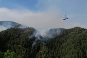 AA 20250522 38045790 38045789 KAHRAMANMARASTA CIKAN ORMAN YANGININA MUDAHALE EDILIYOR