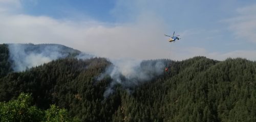 AA 20250522 38045790 38045789 KAHRAMANMARASTA CIKAN ORMAN YANGININA MUDAHALE EDILIYOR