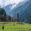 MoretoKashmir