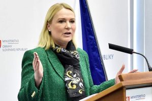 Çexiyanın müdafiə naziri qəzaya düşdü