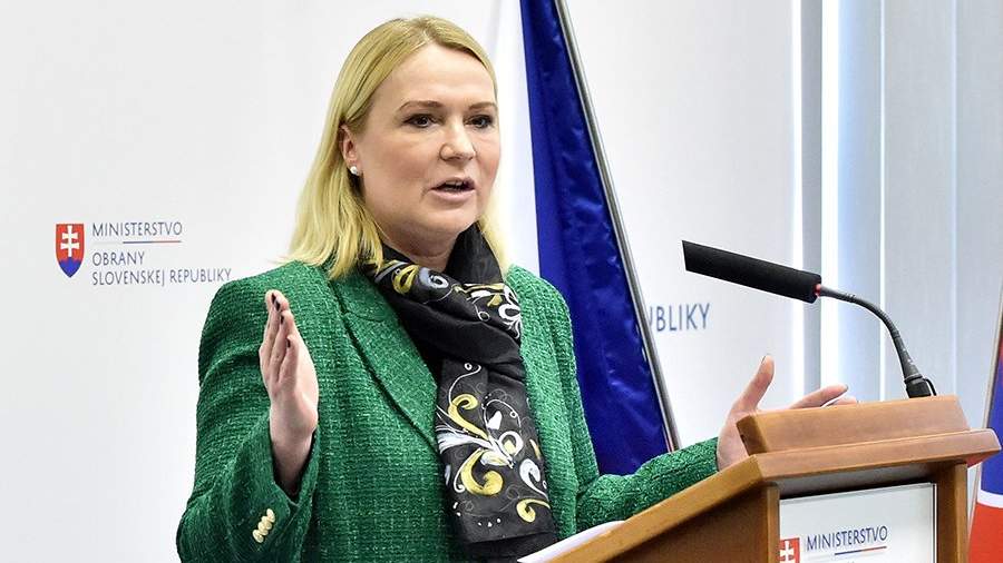 Çexiyanın müdafiə naziri qəzaya düşdü