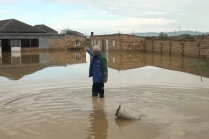 Evlərini su basdı, uşaqlar itkin düşdü: "Bilmirik ki, kim aparıb" - VİDEO