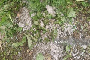 Tovuzda güclü dolu fəsadlar törətdi - FOTOLAR