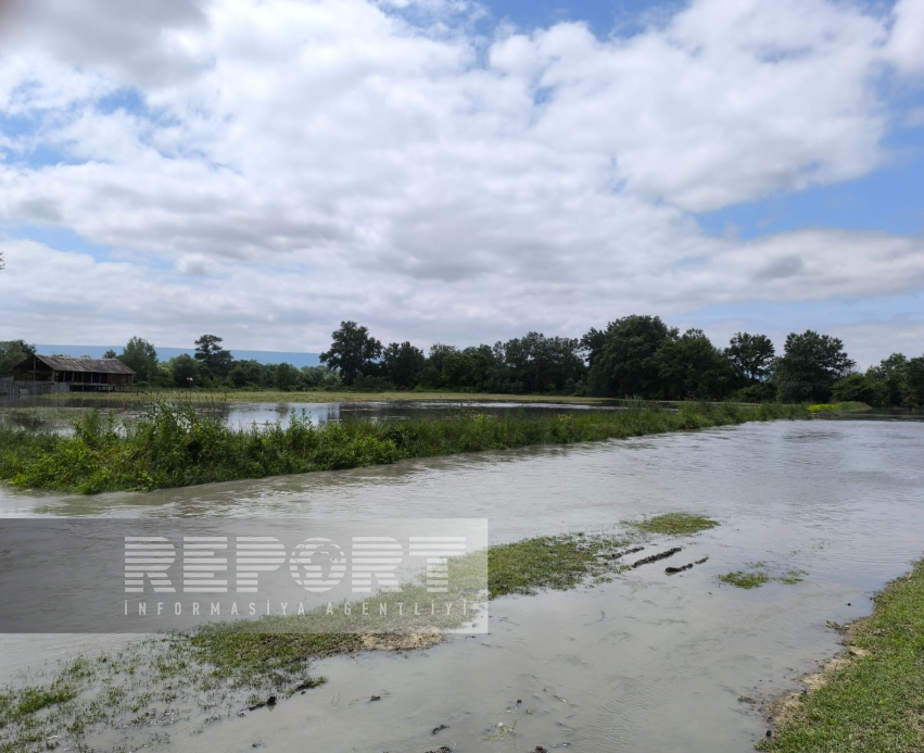 Alazan və Katexçay daşdı, 200 hektar ərazi su altında qaldı - FOTOLAR