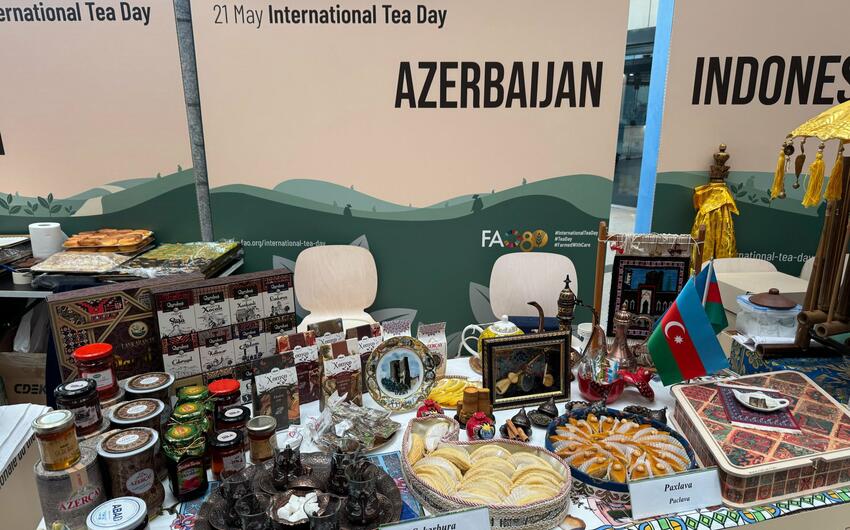 Azərbaycan çayı Romada - FOTOLAR