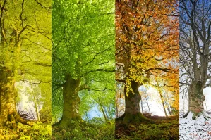 Hava ilə bağlı yeni xəbərdarlıq - Oktyabrın 15-nə qədər...