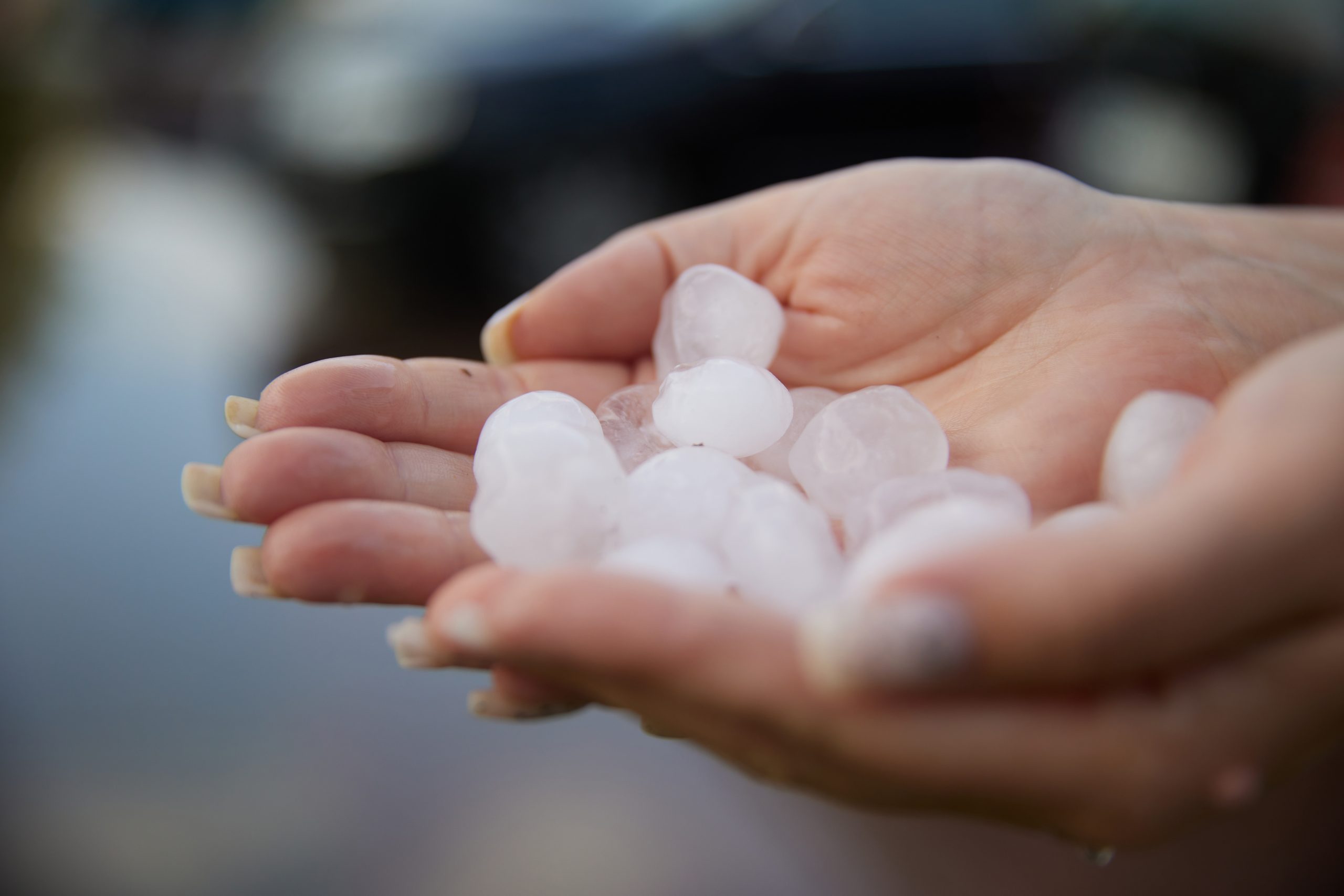 Zaqatalaya dolu yağıb