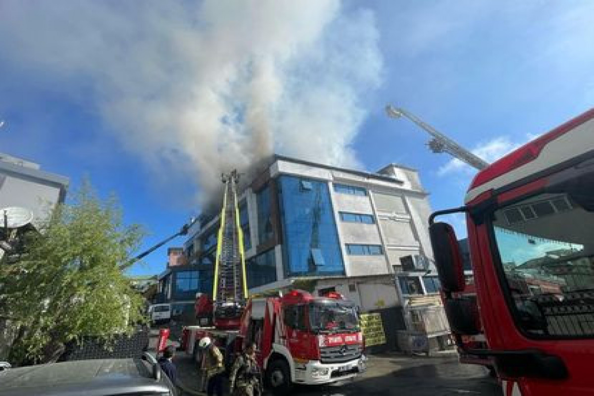 Planet of the Discounts  Official PlayStationStore US