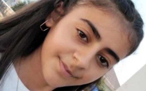 nermine
