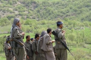 pkk 1