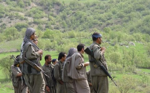 pkk 1