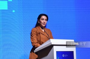 Yeni media mühiti formalaşmaqdadır - Ombudsman