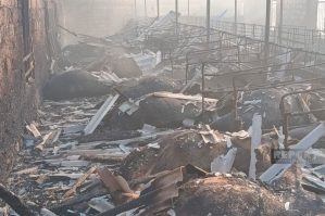 Salyanda 45 baş iribuynuzlu heyvan, 7 min ot bağlaması kül oldu - Yenilənib