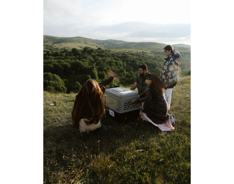 Leyla və Arzu Əliyevalar Altıağac Milli Parkında - FOTOLAR