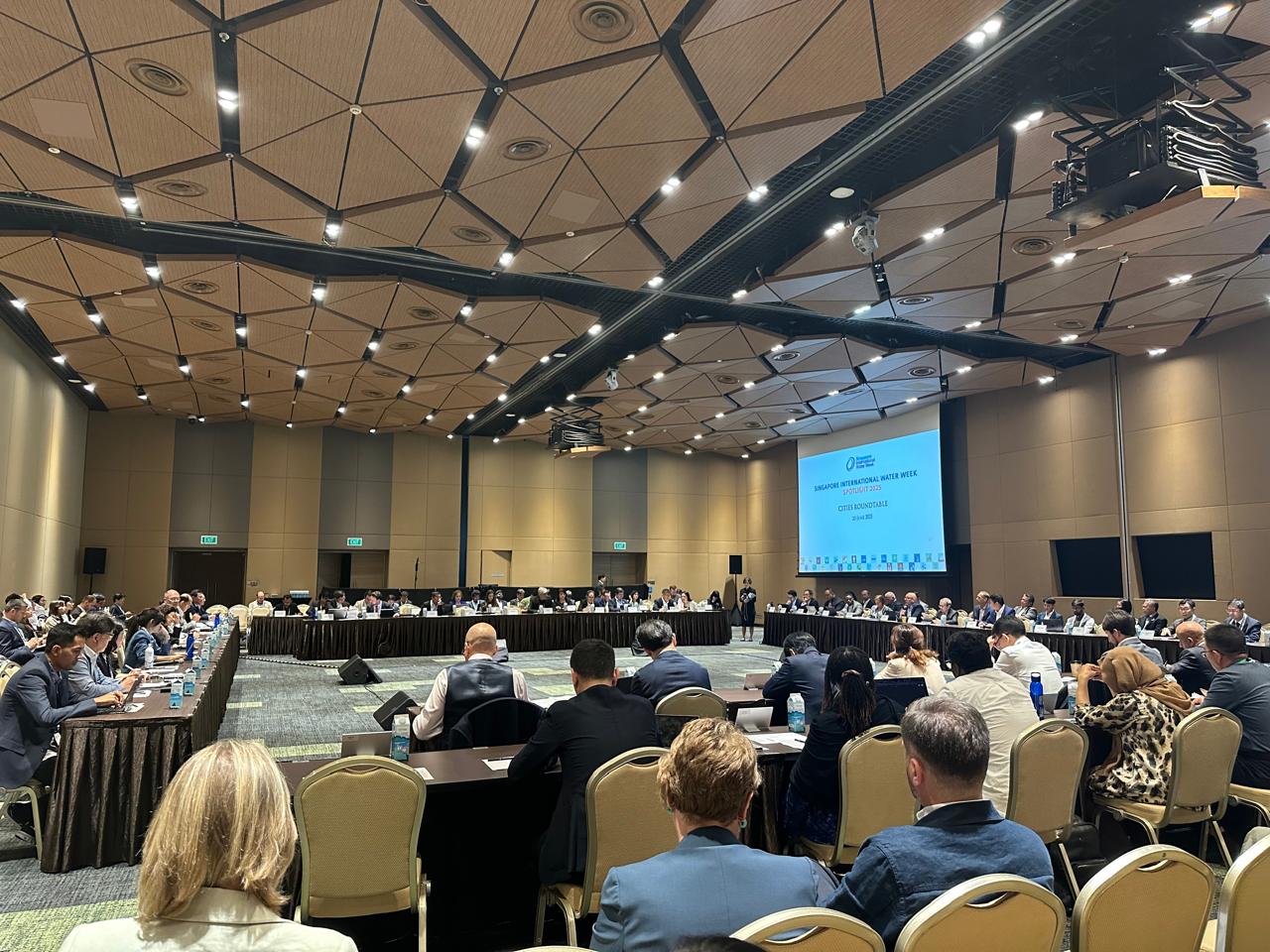 ADSEA-nın əməkdaşları Sinqapurda beynəlxalq sammitdə - FOTOLAR