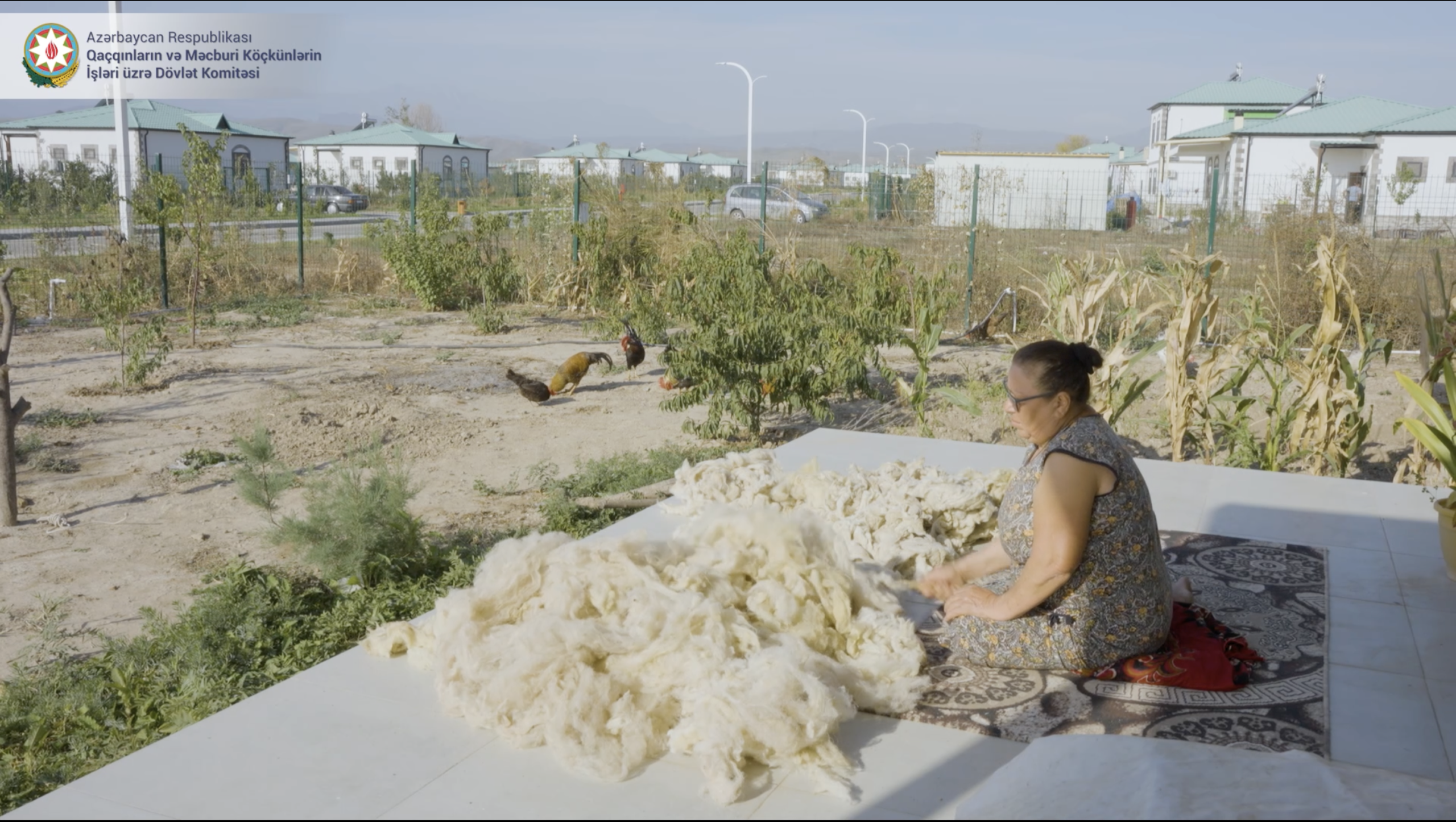 Yeni günə oyanan Ağalı... - VİDEO 1 Yeni günə oyanan Ağalı... - VİDEO